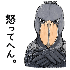 Blunt Shoebill Stickers (Deadpan)