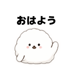 chama_20260428150151
