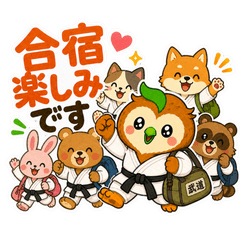 Budo Owl 2