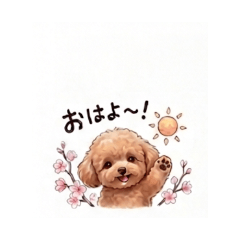 Toy poodle cherry blossom