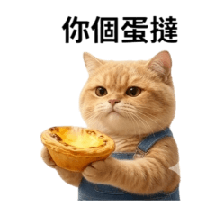 點心食物猫