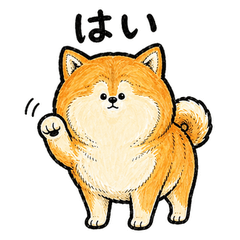 Fluffy Orange Dog Replies