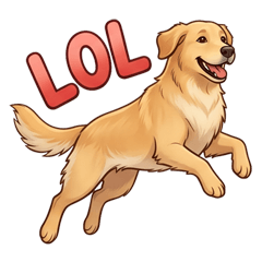 每天都能用！好懂的黃金獵犬英文聊天貼圖