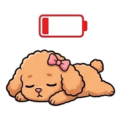 渾身是戲的玩具貴賓犬【極限】