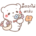 BearPlease: Love You Every Day