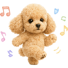 Everyday use Toy Poodle reaction