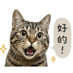 娜娜日常-1