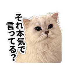 goro_20260502071844