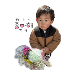 taichan_20260502045248