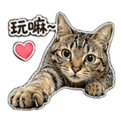 娜娜日常-2
