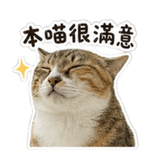 三色布丁喵