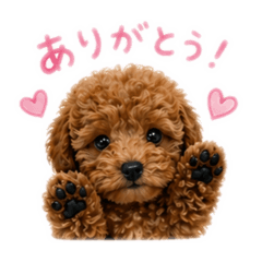 GANchan_20260502074038