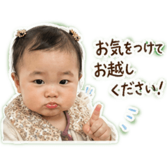 SAYURI_20260502073813