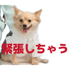 Kimika_20260502075452
