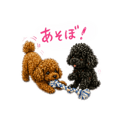 kouji.s_20260502085005