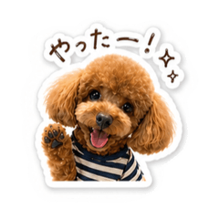 Miki_20260502084346