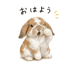Yosuke_20260430051721