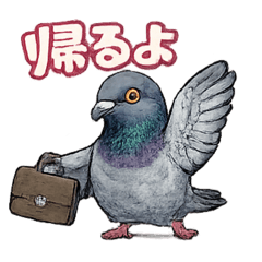 CHAO_20260430062807