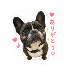 buhiboo