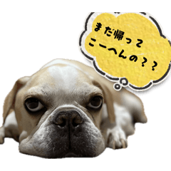 kmts_20260430122042