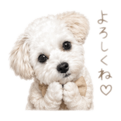 sorachan_happy