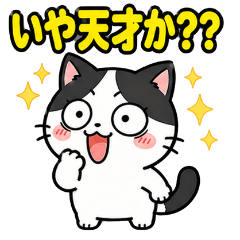 Cat's Cool Daily Life