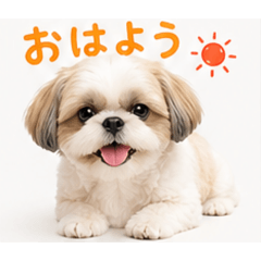 YUI_20260430130435