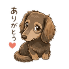 popo_20260502082140