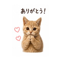 ShioriDays_20260502081717