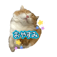 jacky_20260502081723