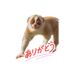 chii_20260502095030