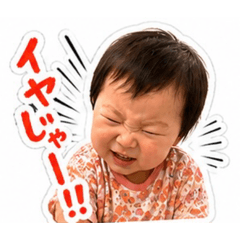 daiki_20260502080843