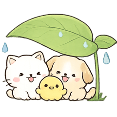 cocoa_20260502095258