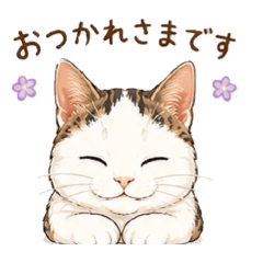 Fuji-chan: Adorable Cat Stickers