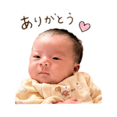 Ruito_20260502103531