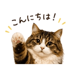 chiaki_20260502132444