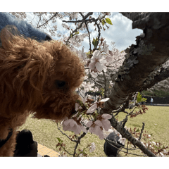yuka_20260502131352