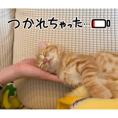 Honobono_20260502103830