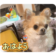 Kanikama_20260502104010
