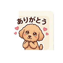 Dogchacha