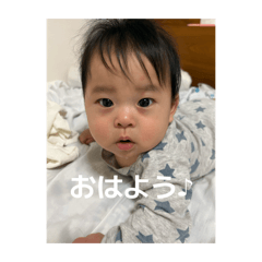 ktr_20260502105018
