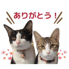 maika_20260502104536