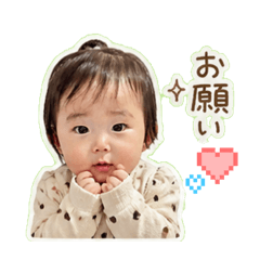 PIYO_20260502104933