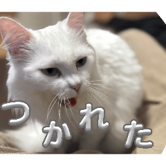 yuzu_20260502105208