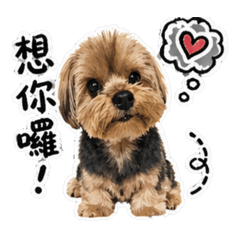 叮叮咚咚叮特輯2
