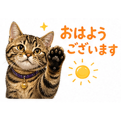 Cute Cat Greetings24