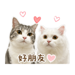錢袋&十二萌萌噠