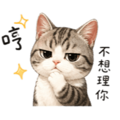 錢袋&十二與他們的仙女媽媽
