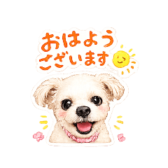 purinpapa_20260502093857