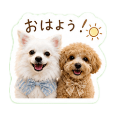 happy_20260502093821